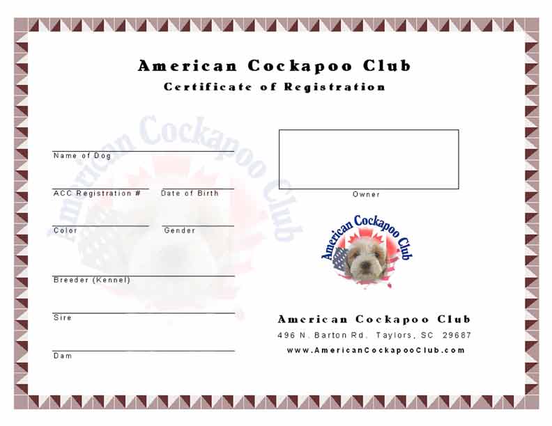 register certificate cockapoos